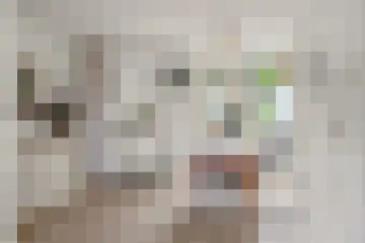 Blauwkapelseweg 117 Utrecht thumbnail 7