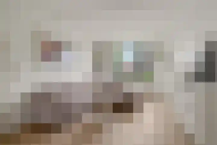 Blauwkapelseweg 117 Utrecht thumbnail 9
