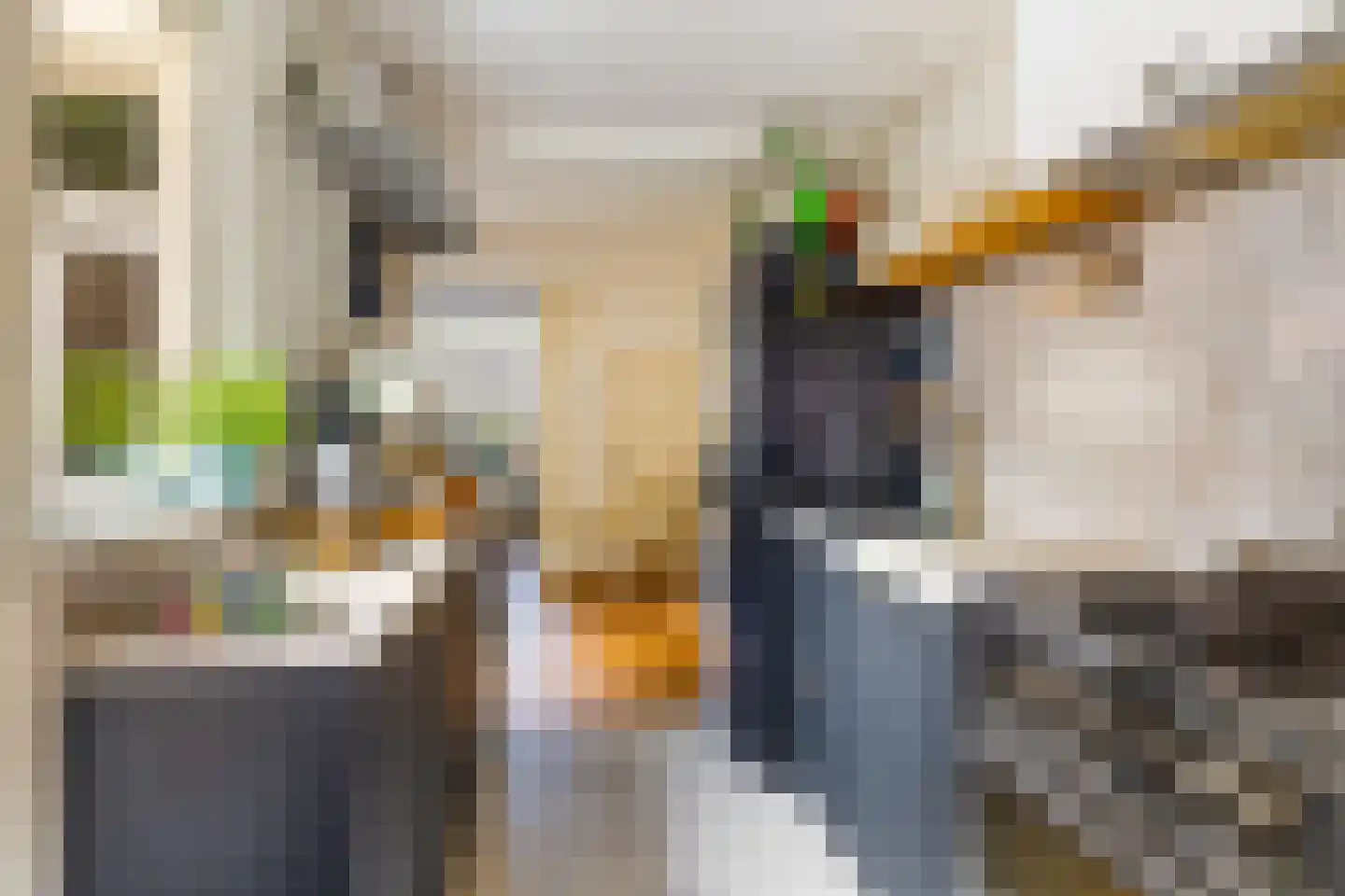 Blauwkapelseweg 121 Utrecht thumbnail 14