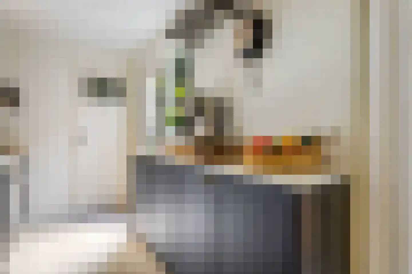 Blauwkapelseweg 121 Utrecht thumbnail 15