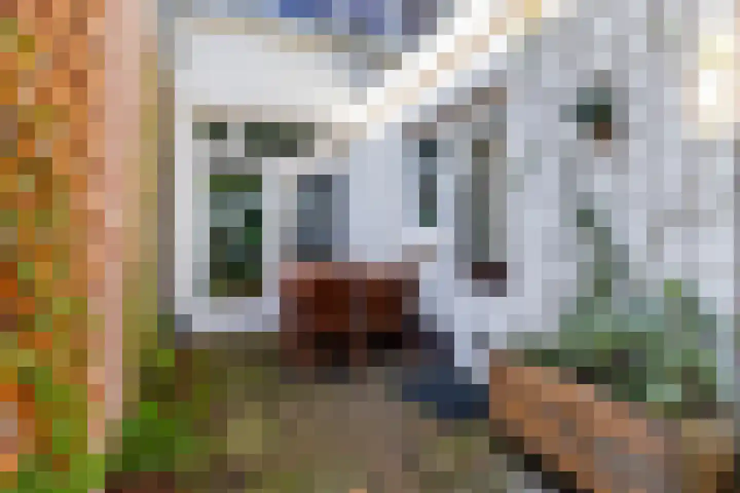 Blauwkapelseweg 121 Utrecht thumbnail 16