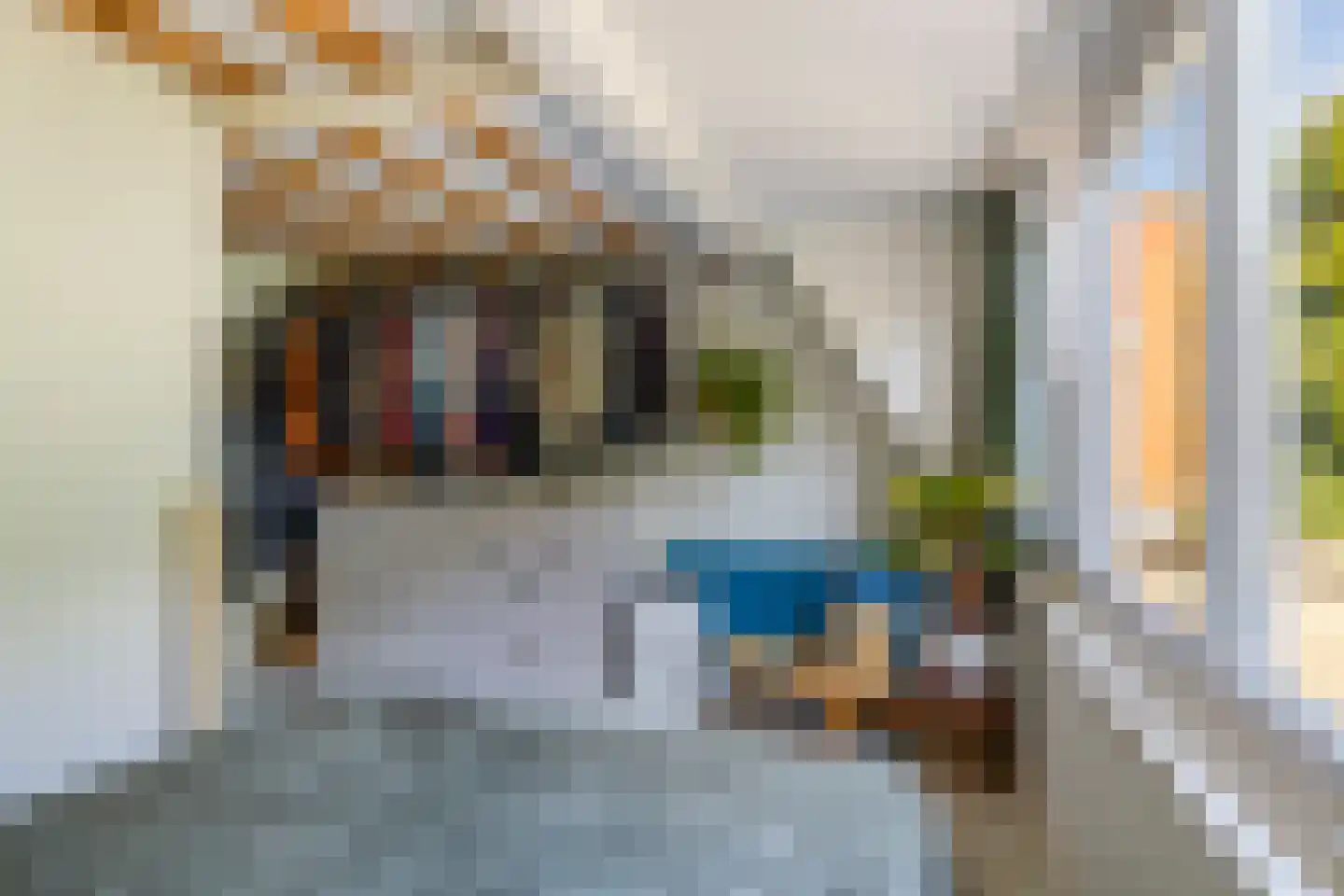 Blauwkapelseweg 121 Utrecht thumbnail 20