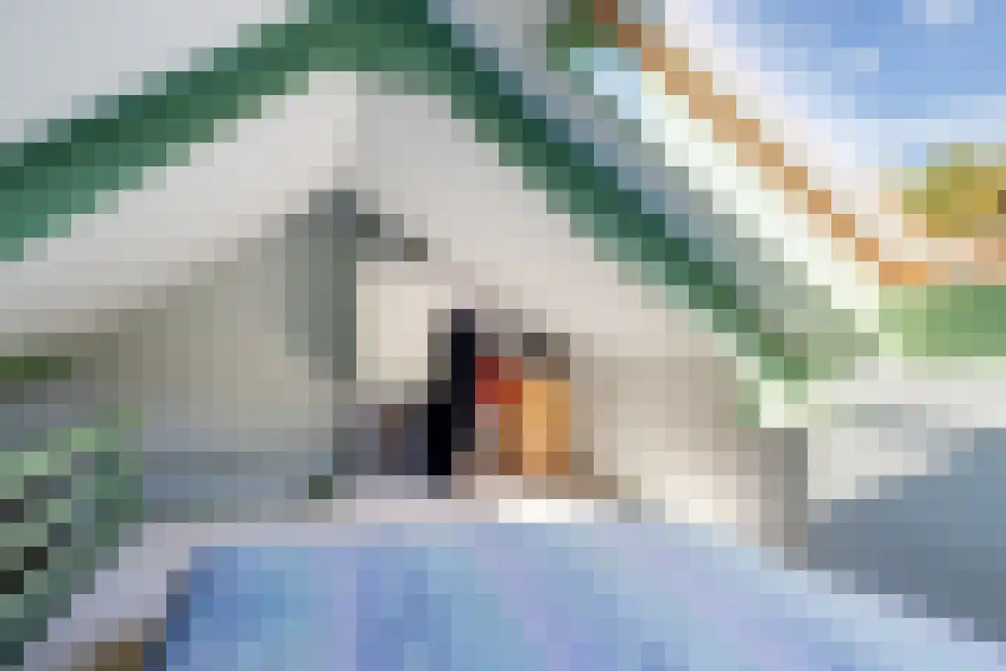 Blauwkapelseweg 121 Utrecht thumbnail 22