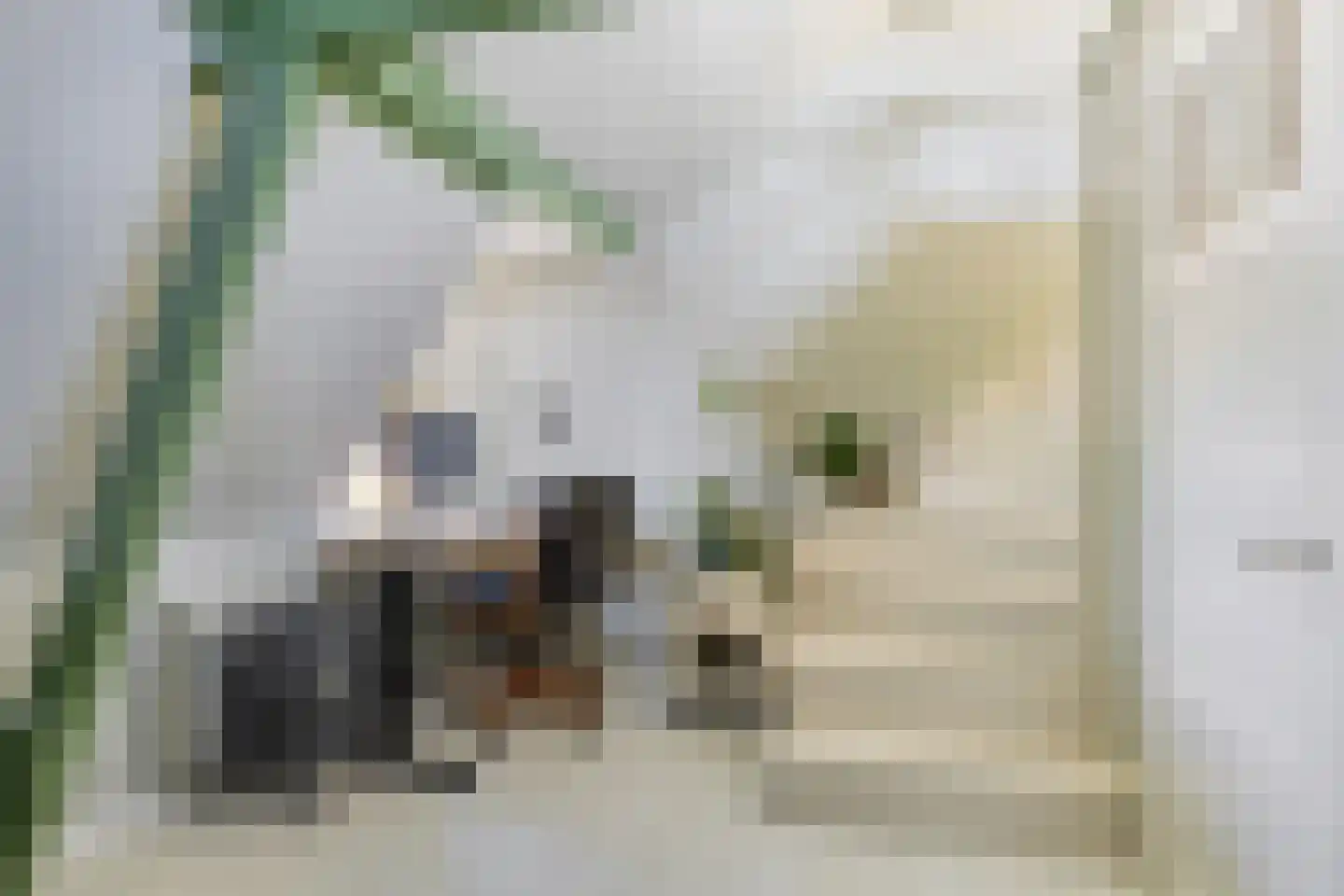 Blauwkapelseweg 121 Utrecht thumbnail 26