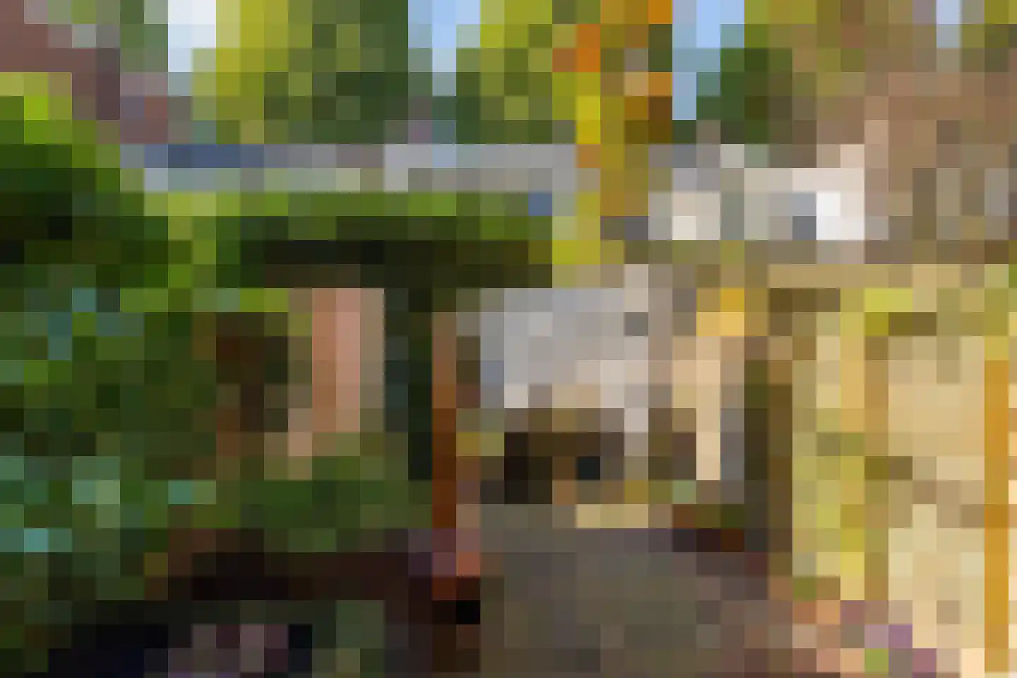 Blauwkapelseweg 121 Utrecht thumbnail 29