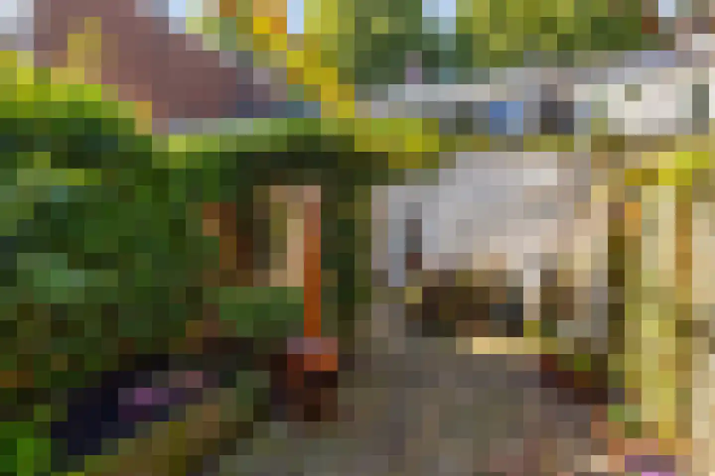 Blauwkapelseweg 121 Utrecht thumbnail 30