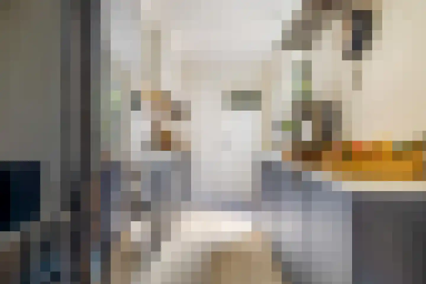 Blauwkapelseweg 121 Utrecht thumbnail 5