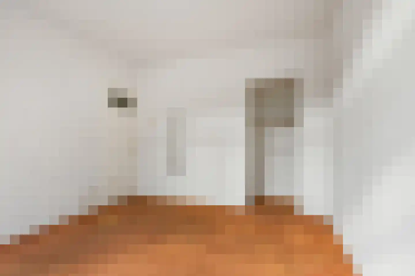Blauwkapelseweg 145 Utrecht thumbnail 15