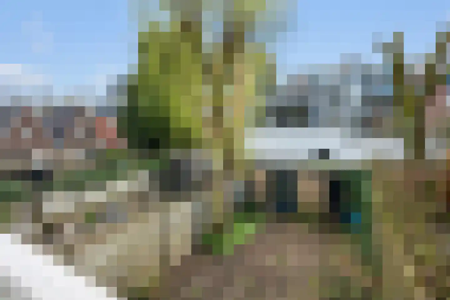 Blauwkapelseweg 145 Utrecht thumbnail 24