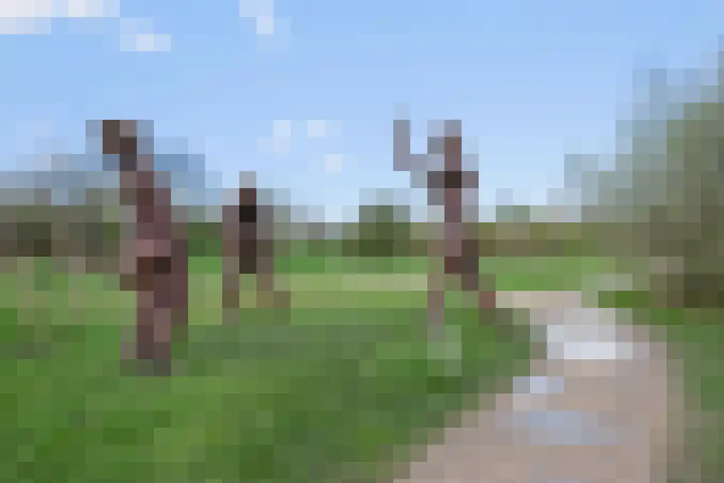 Blauwkapelseweg 145 Utrecht thumbnail 30