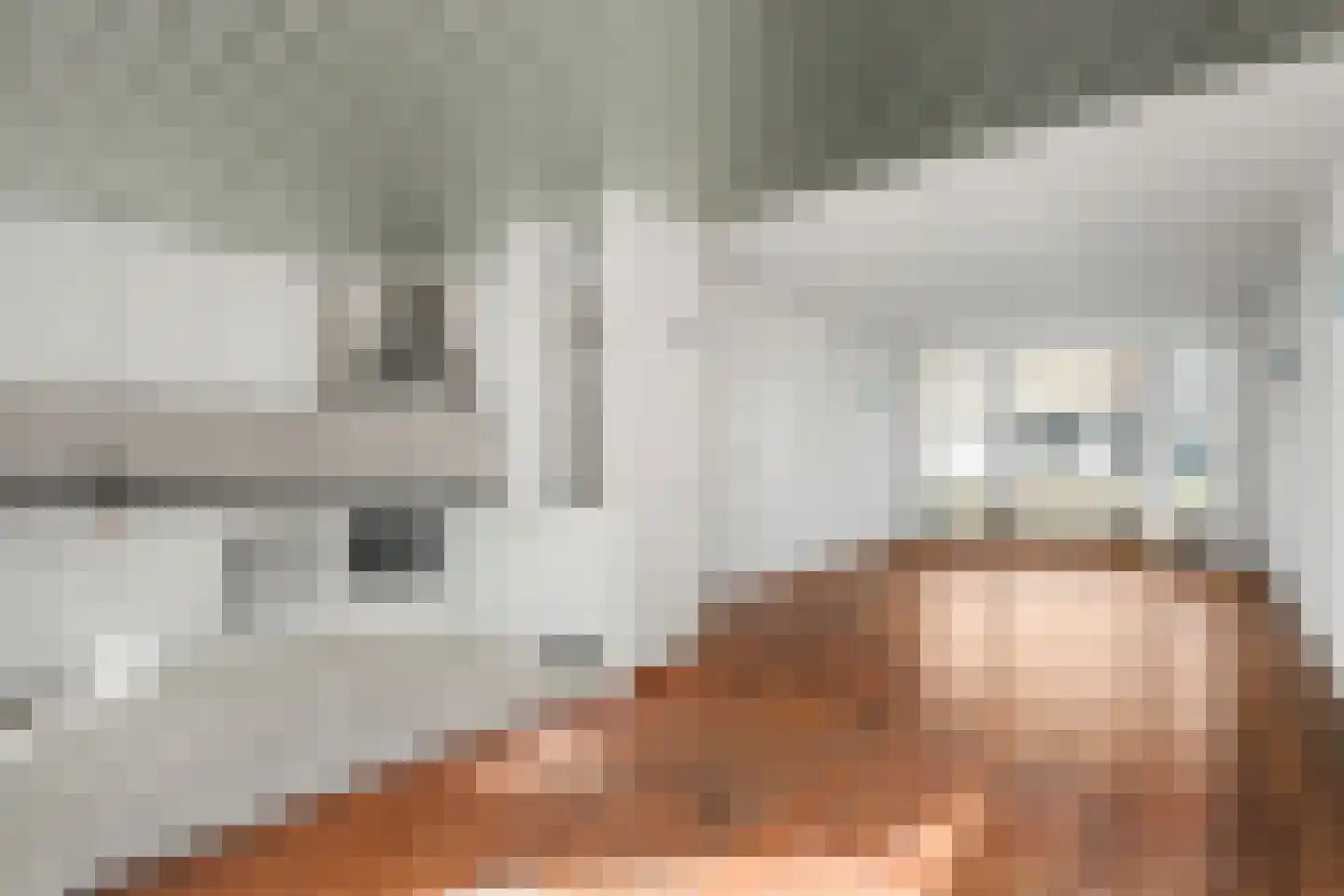 Blauwkapelseweg 145 Utrecht thumbnail 8