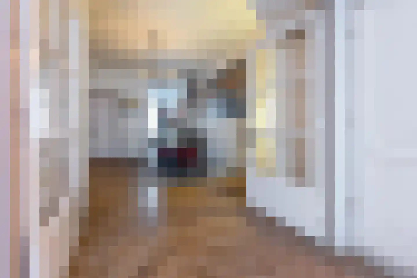 Blauwkapelseweg 15 BS Utrecht thumbnail 12