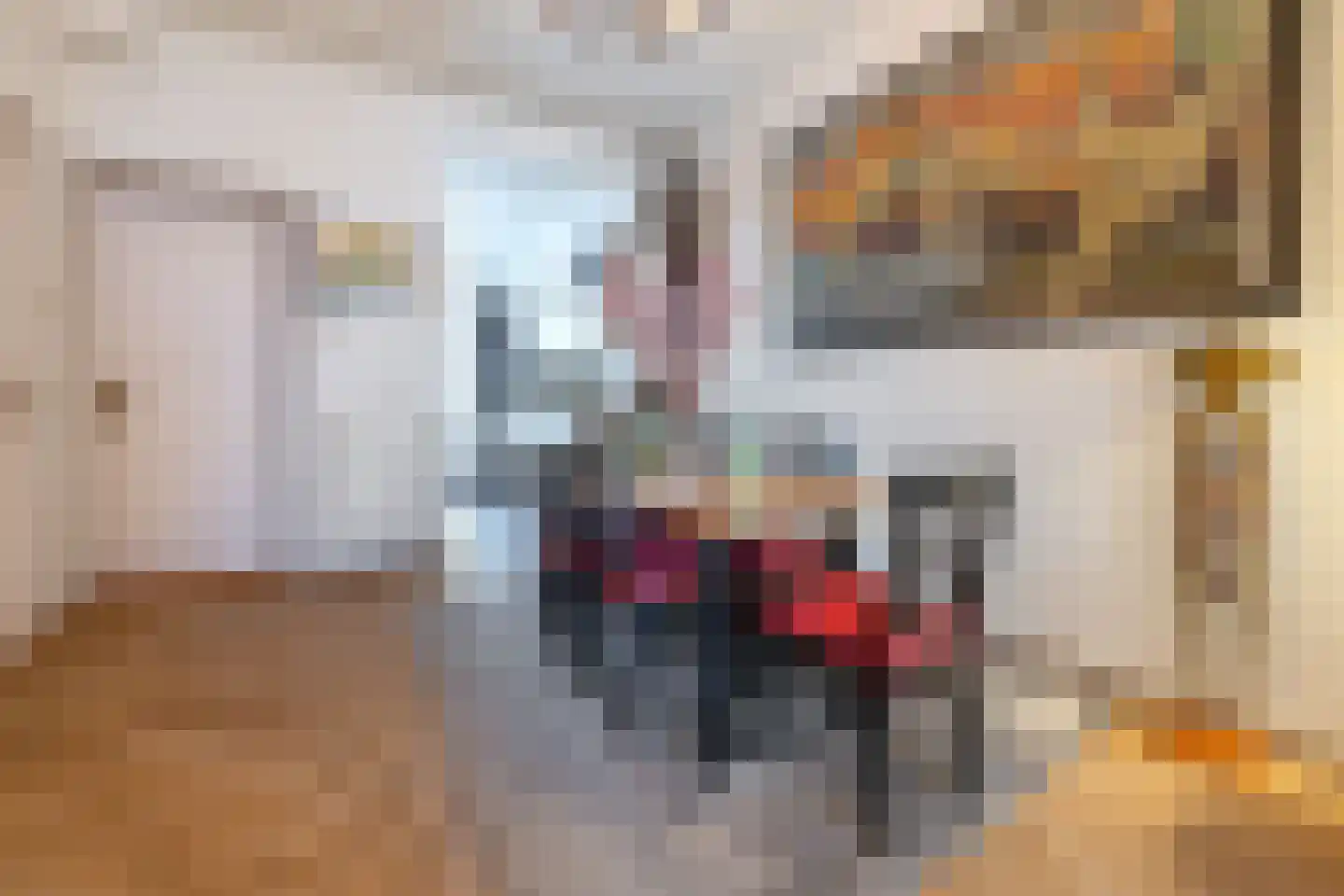 Blauwkapelseweg 15 BS Utrecht thumbnail 13