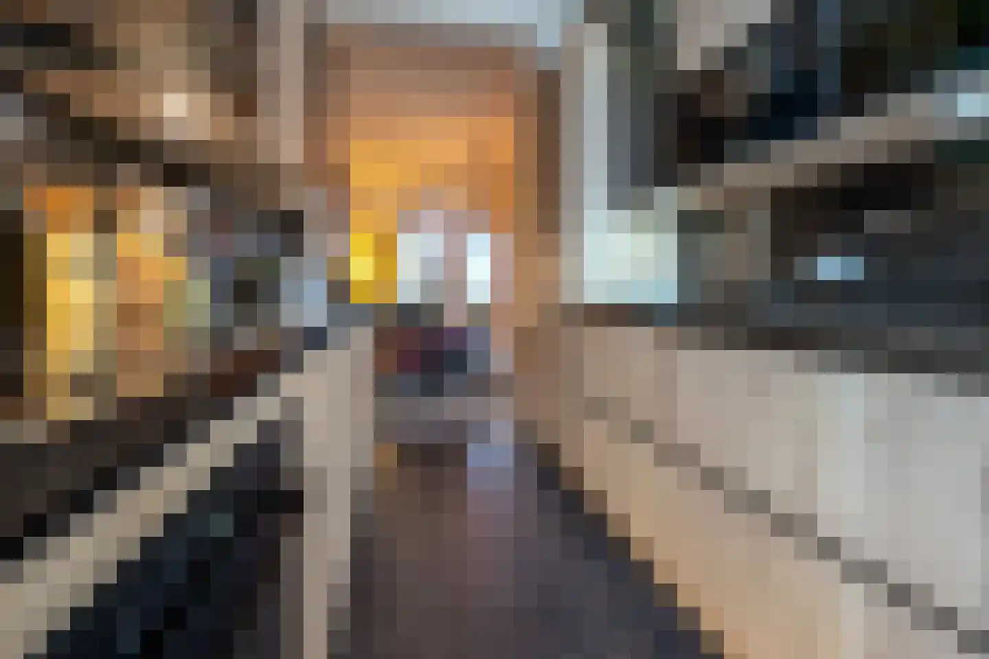 Blauwkapelseweg 15 BS Utrecht thumbnail 16