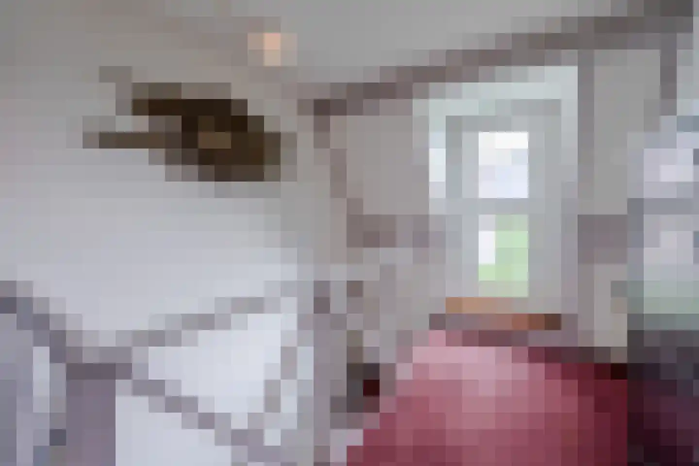 Blauwkapelseweg 15 BS Utrecht thumbnail 20