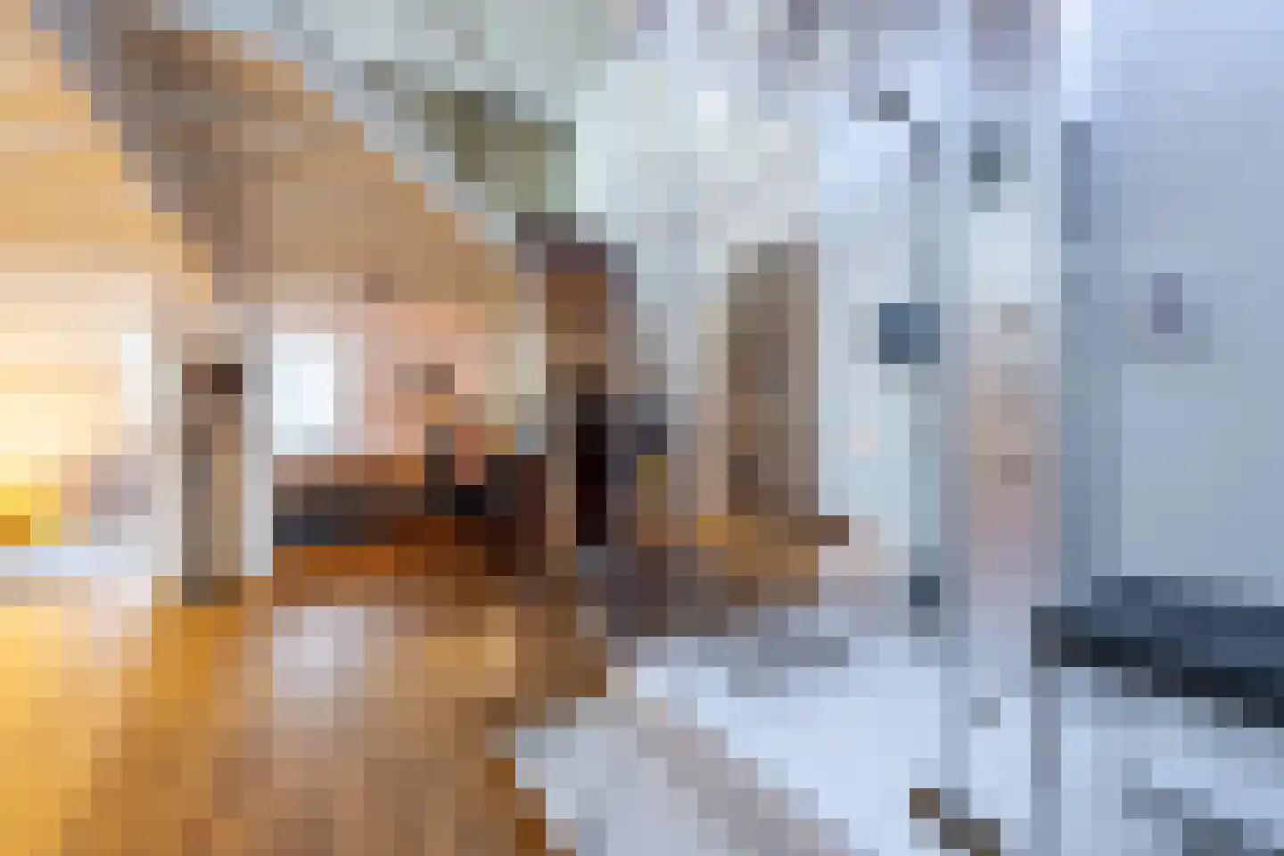 Blauwkapelseweg 15 BS Utrecht thumbnail 21