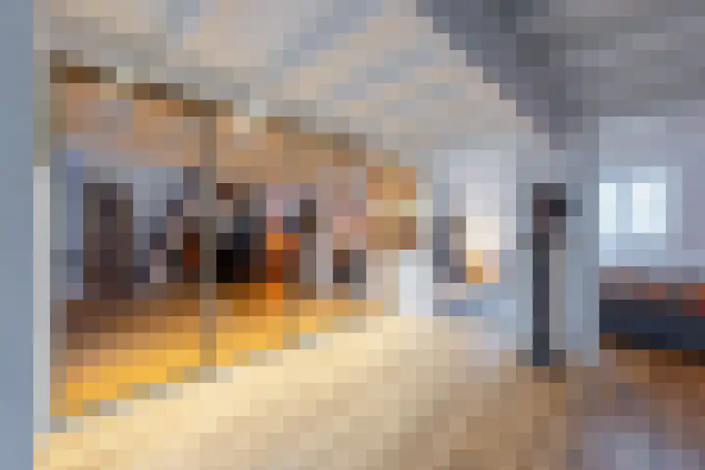 Blauwkapelseweg 15 BS Utrecht thumbnail 22