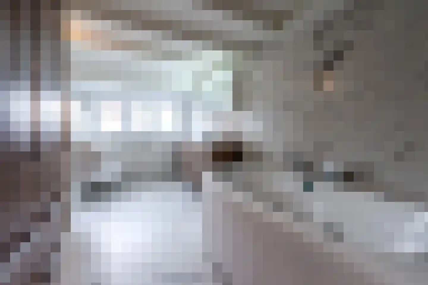 Blauwkapelseweg 15 BS Utrecht thumbnail 27