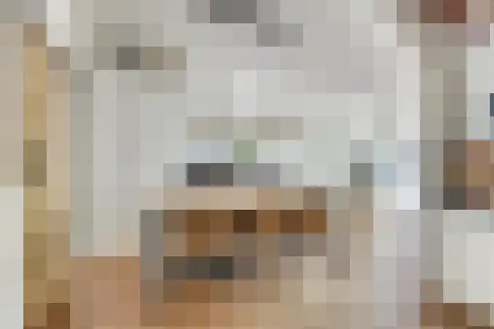 Blauwkapelseweg 27 Utrecht thumbnail 15