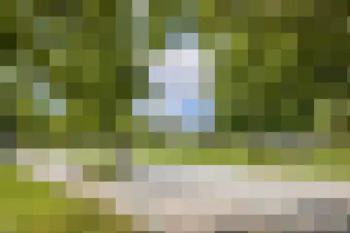 Blauwkapelseweg 27 Utrecht thumbnail 30