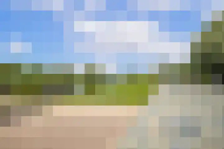 Blauwkapelseweg 27 Utrecht thumbnail 32