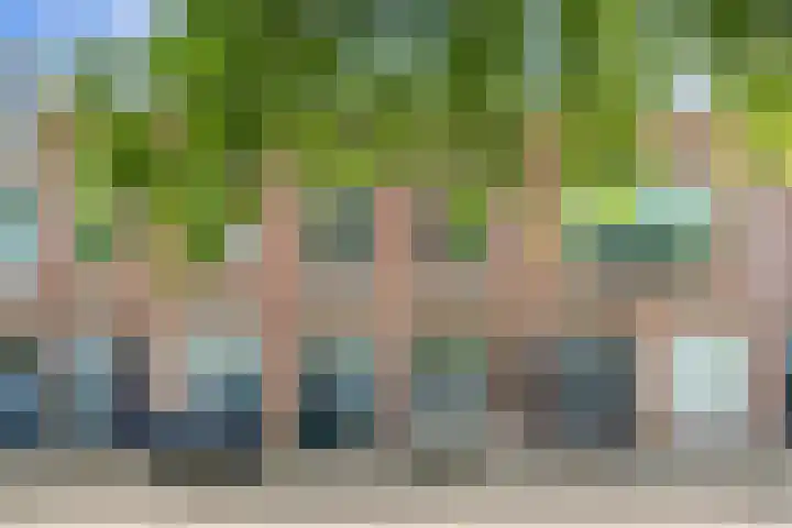 Blauwkapelseweg 27 Utrecht thumbnail 36
