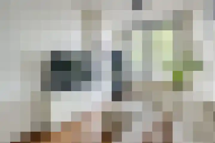 Blauwkapelseweg 27 Utrecht thumbnail 5