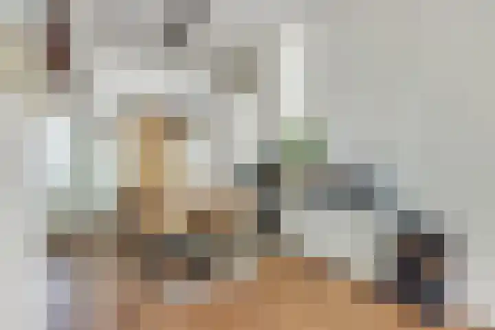 Blauwkapelseweg 27 Utrecht thumbnail 7