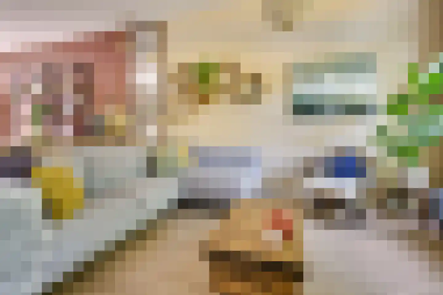 Blauwkapelseweg 29 Utrecht thumbnail 11