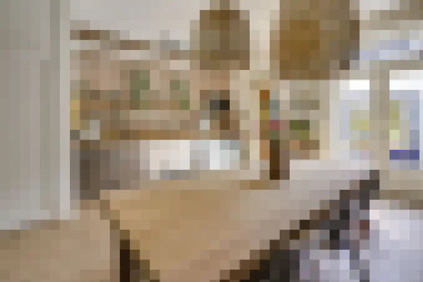 Blauwkapelseweg 29 Utrecht thumbnail 15
