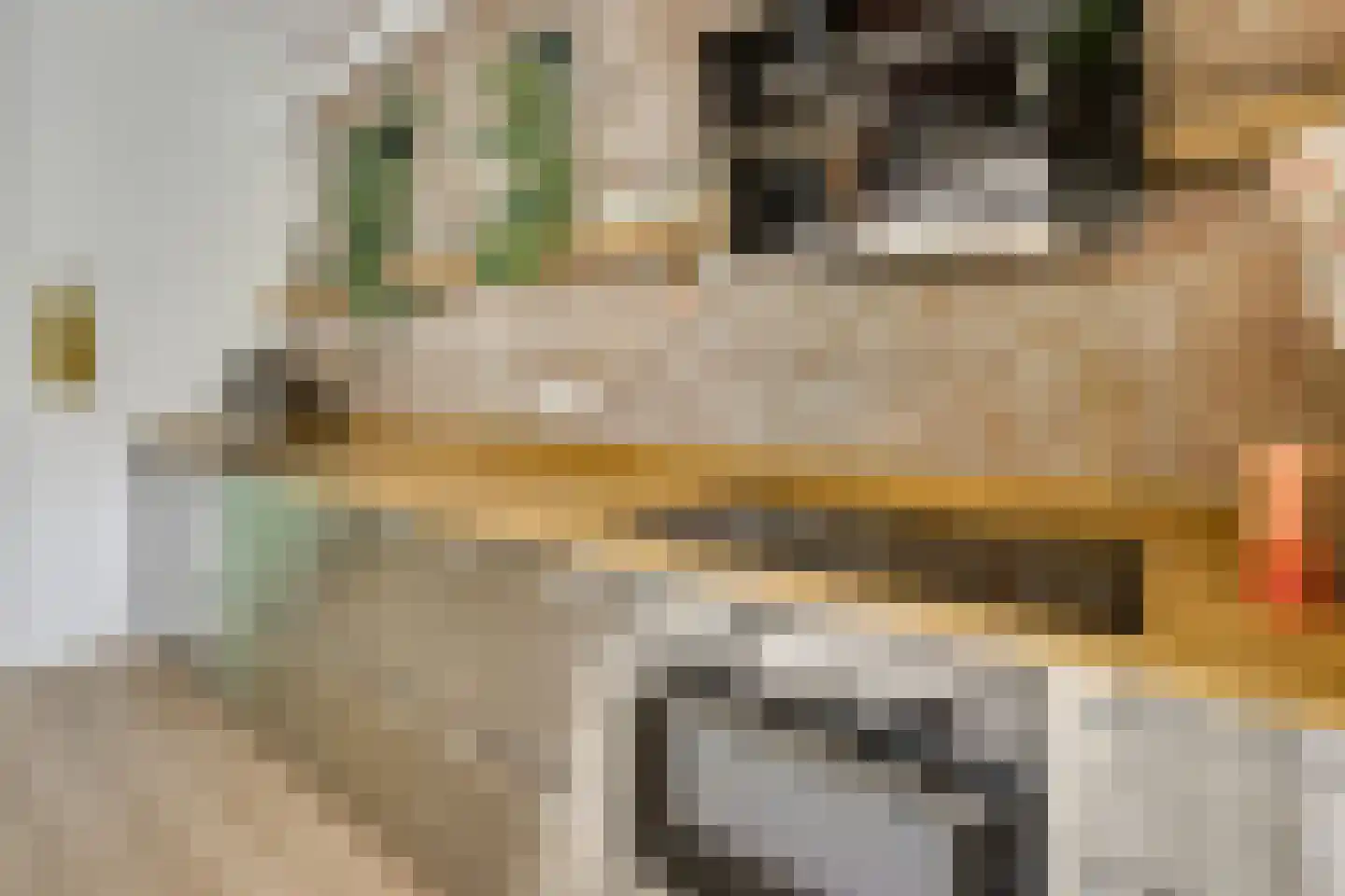 Blauwkapelseweg 29 Utrecht thumbnail 17