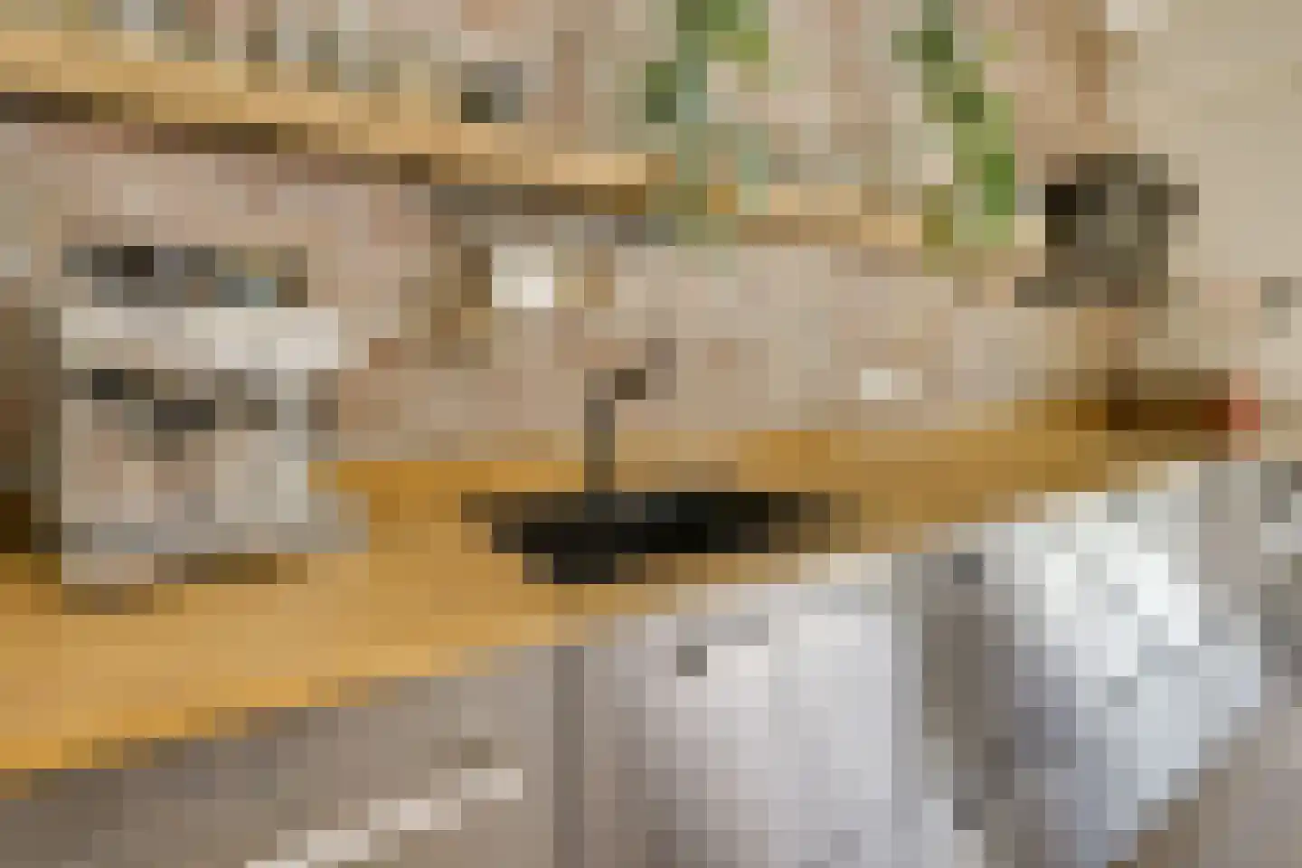 Blauwkapelseweg 29 Utrecht thumbnail 18