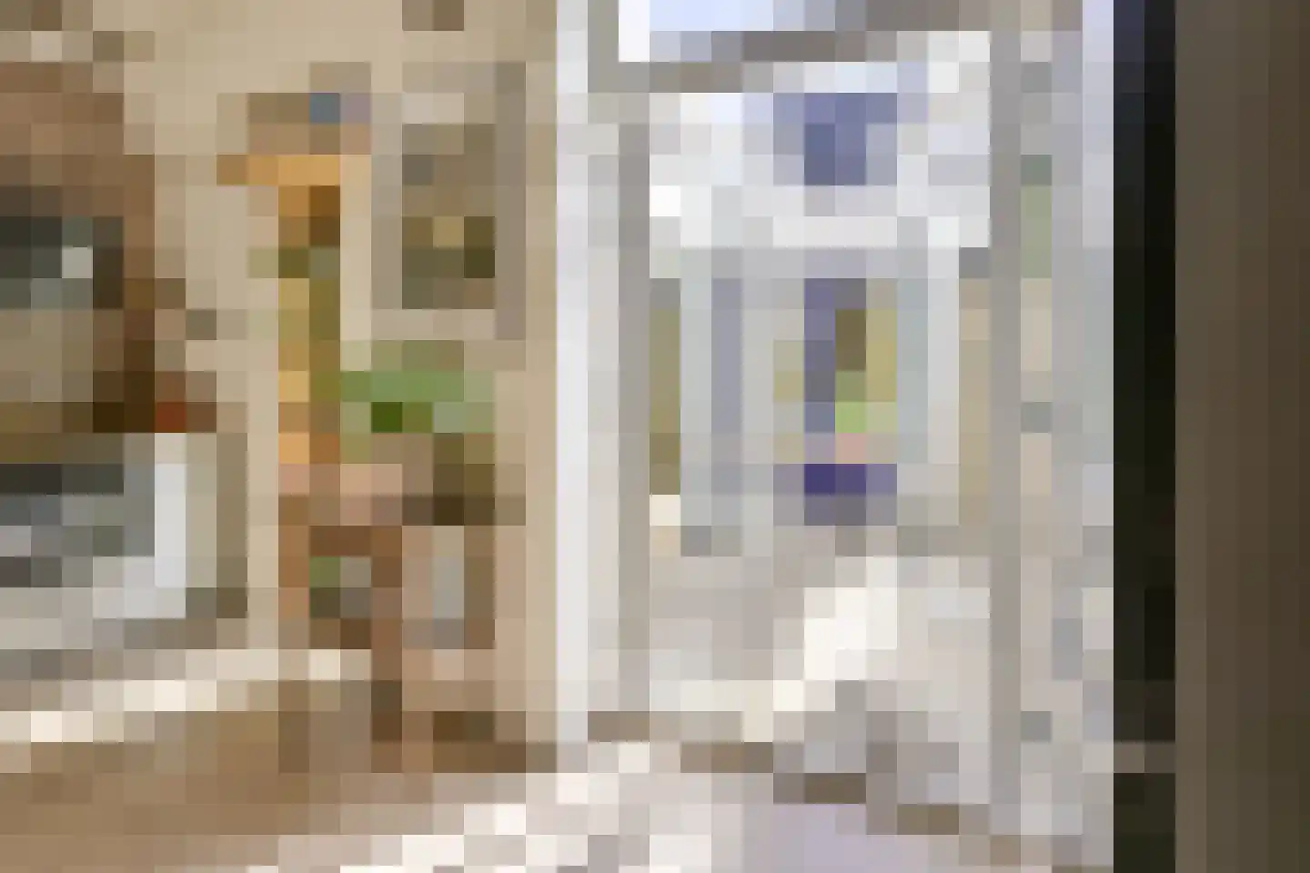Blauwkapelseweg 29 Utrecht thumbnail 22