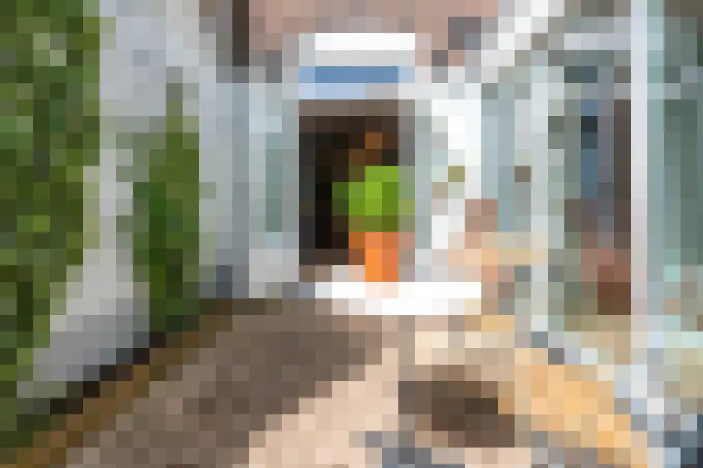 Blauwkapelseweg 29 Utrecht thumbnail 25