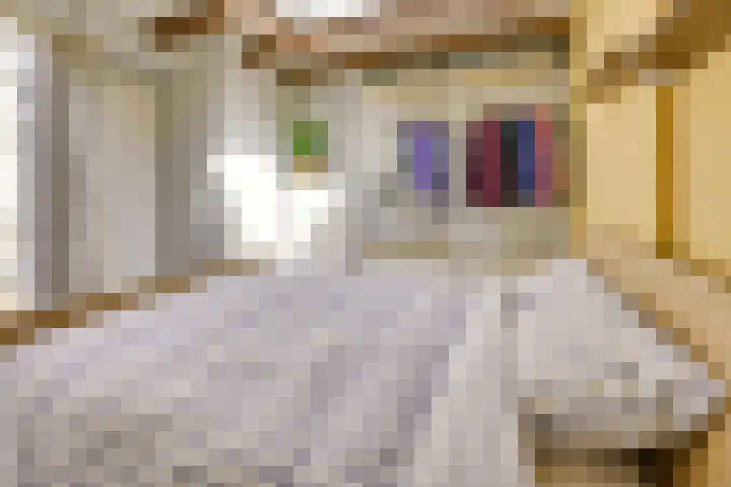 Blauwkapelseweg 29 Utrecht thumbnail 27