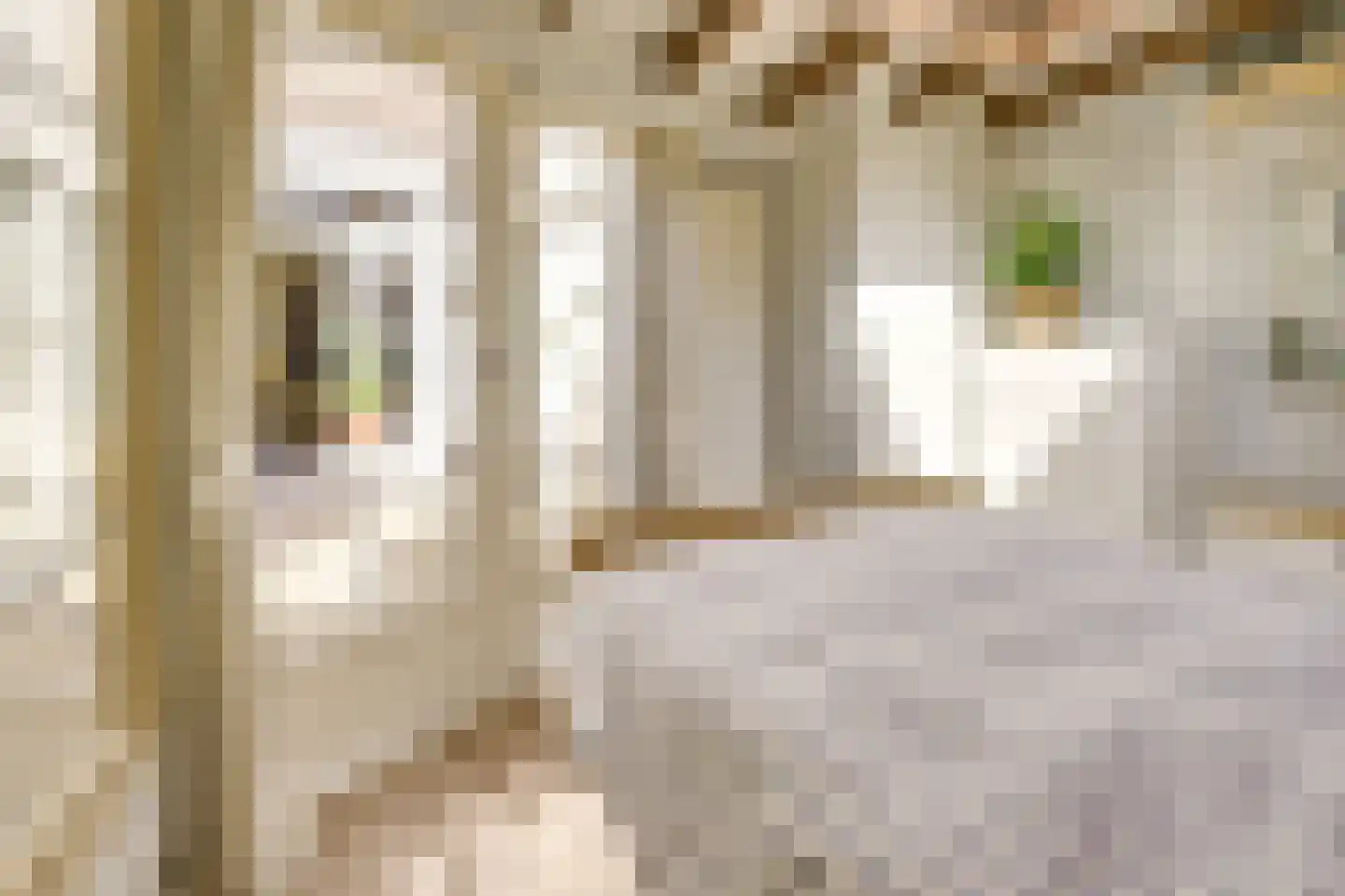 Blauwkapelseweg 29 Utrecht thumbnail 28