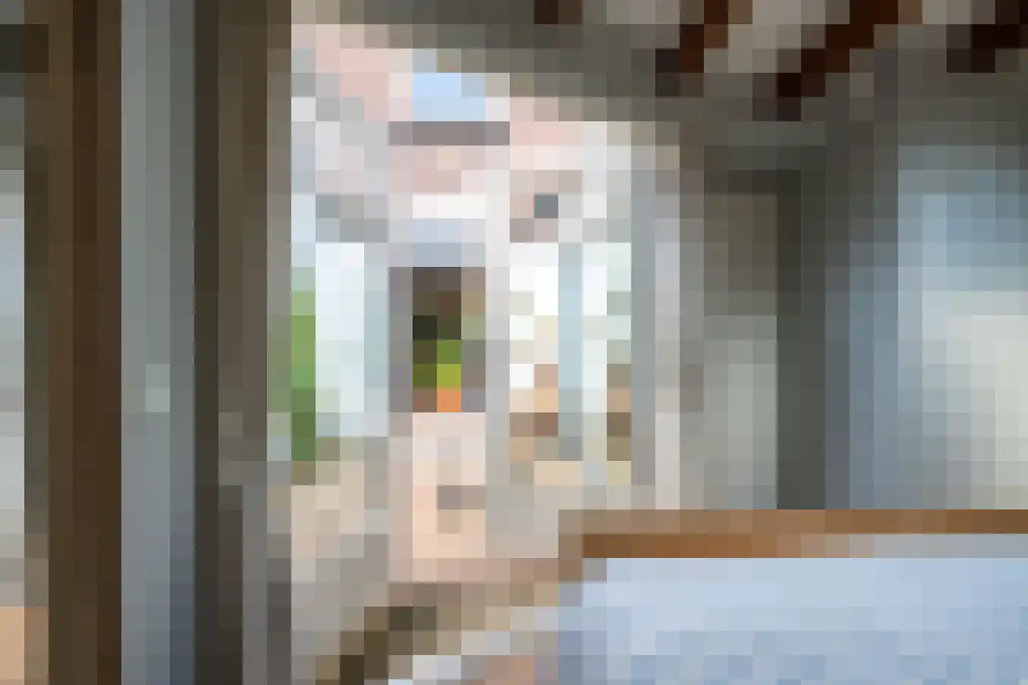Blauwkapelseweg 29 Utrecht thumbnail 30