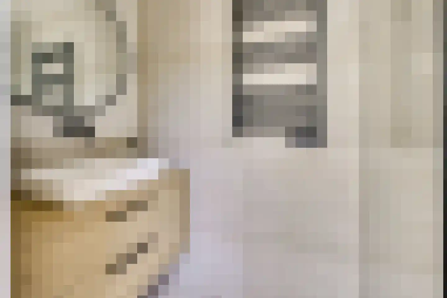 Blauwkapelseweg 29 Utrecht thumbnail 33