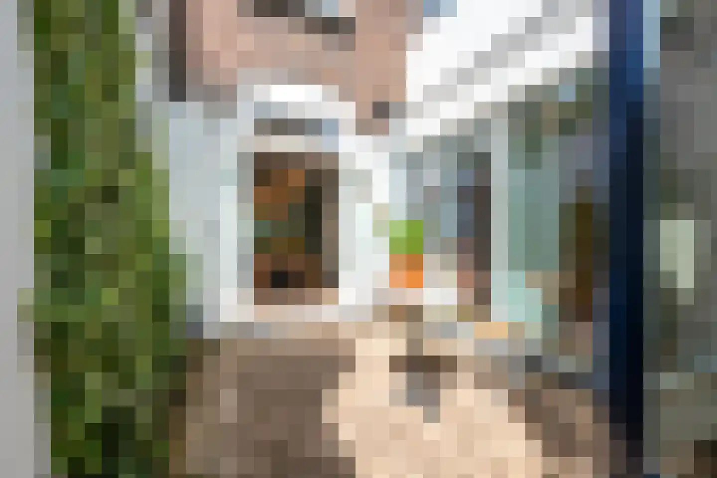 Blauwkapelseweg 29 Utrecht thumbnail 4