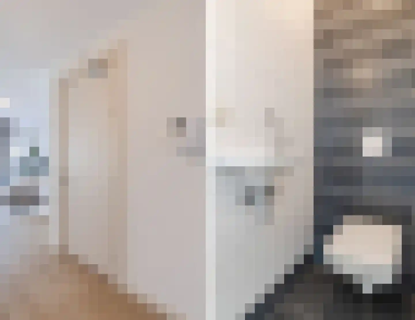 Blauwkapelseweg 33 C Utrecht thumbnail 4