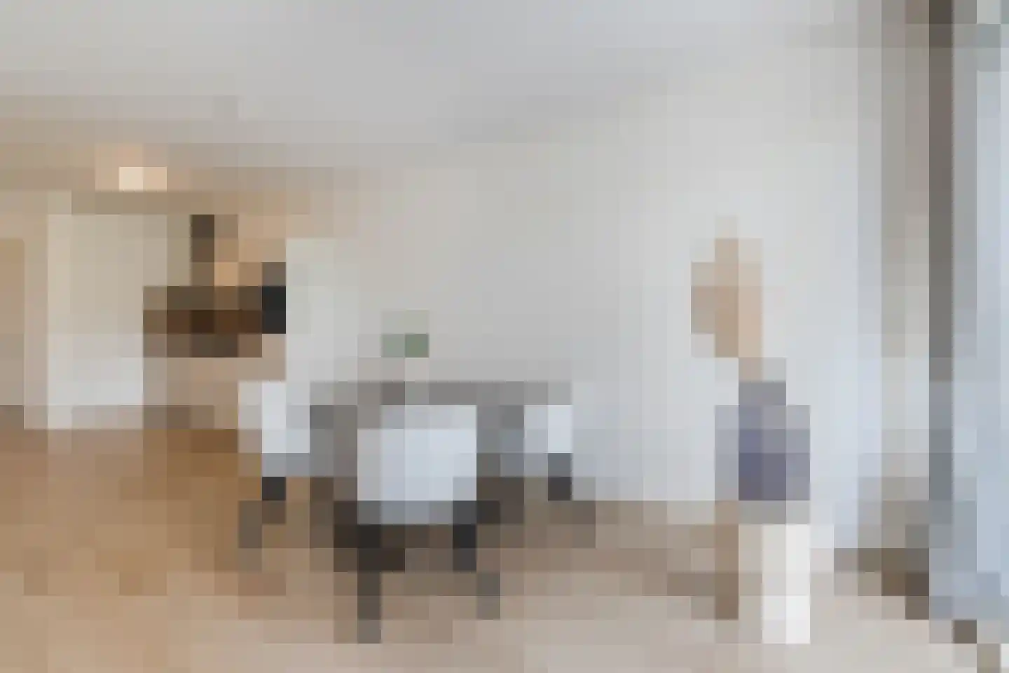 Blauwkapelseweg 33 C Utrecht thumbnail 7