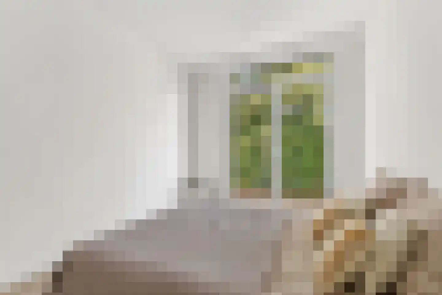 Blauwkapelseweg 33 Utrecht thumbnail 18