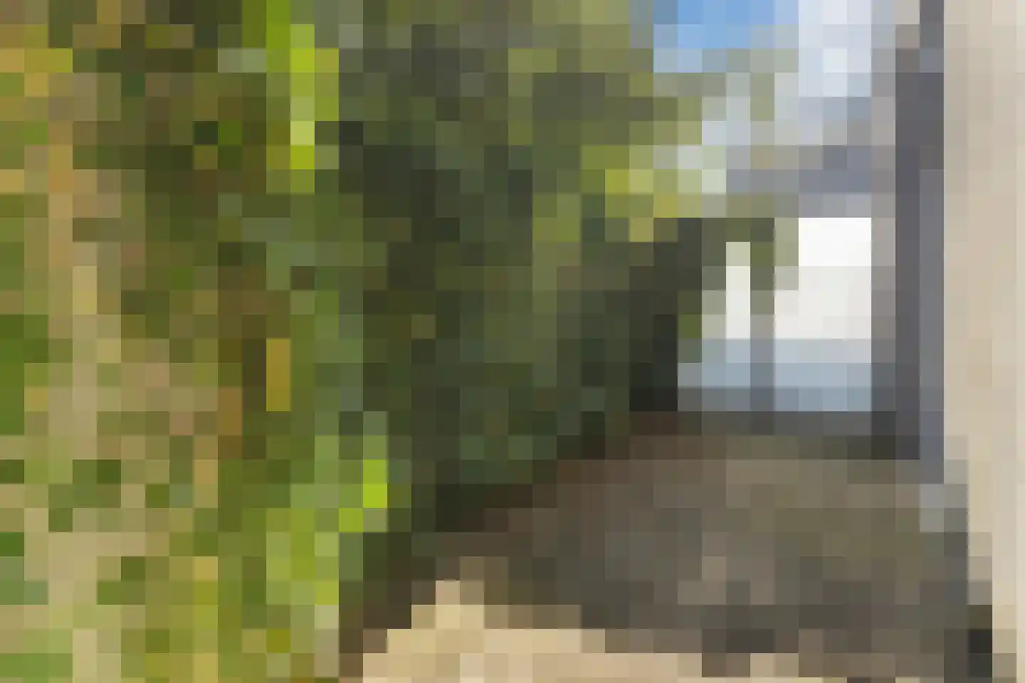 Blauwkapelseweg 33 Utrecht thumbnail 29