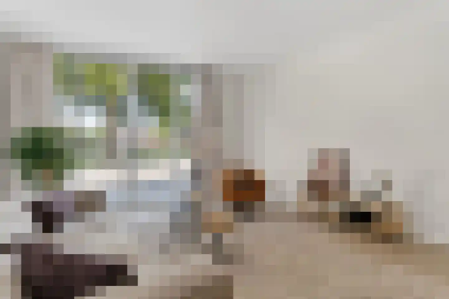 Blauwkapelseweg 33 Utrecht thumbnail 4