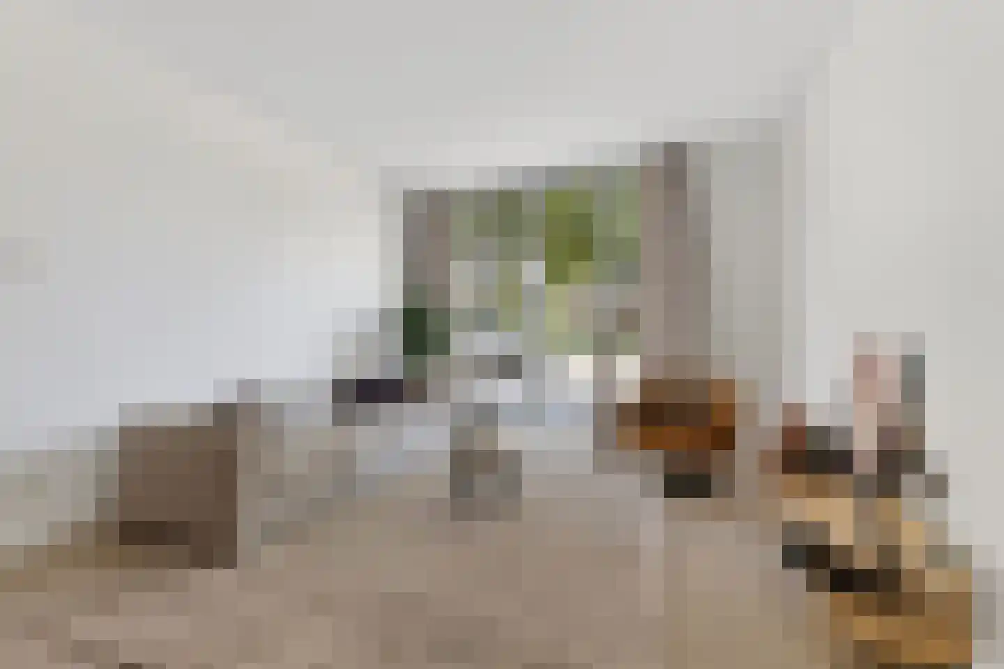 Blauwkapelseweg 33 Utrecht thumbnail 5