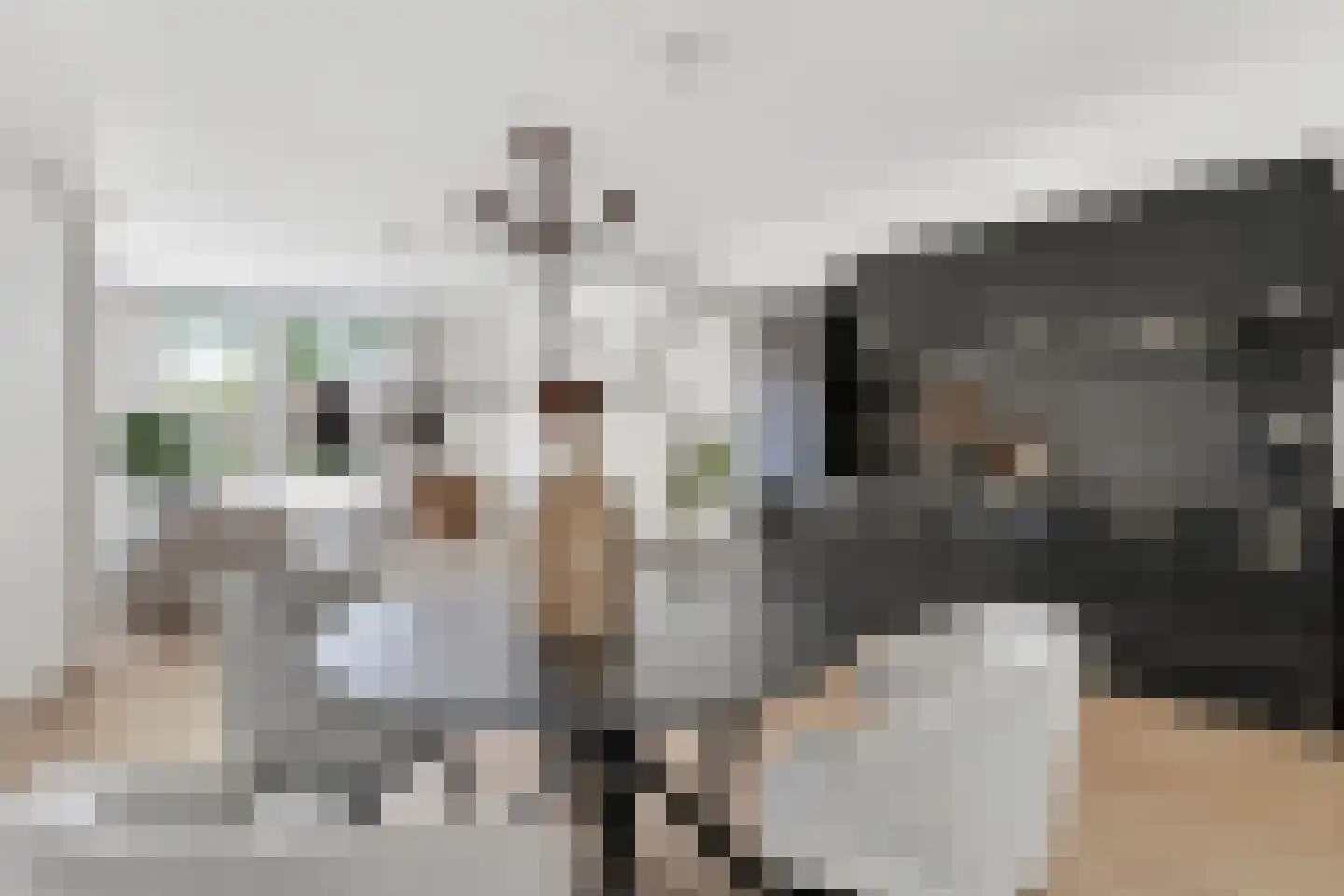 Blauwkapelseweg 33 Utrecht thumbnail 9