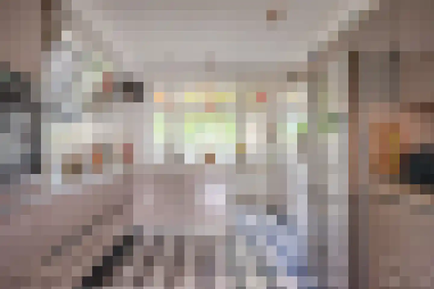 Blauwkapelseweg 67 Utrecht thumbnail 19