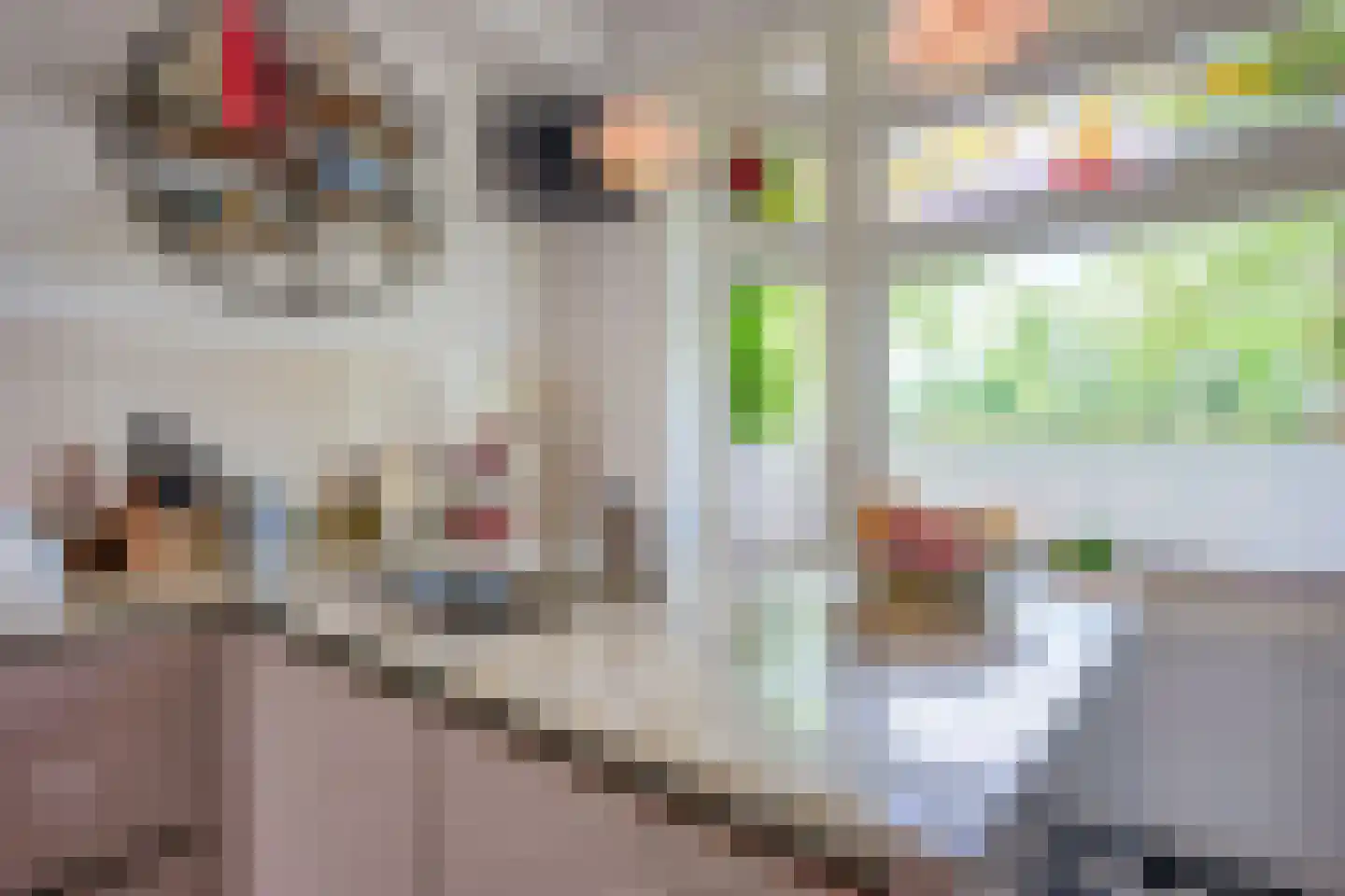 Blauwkapelseweg 67 Utrecht thumbnail 20