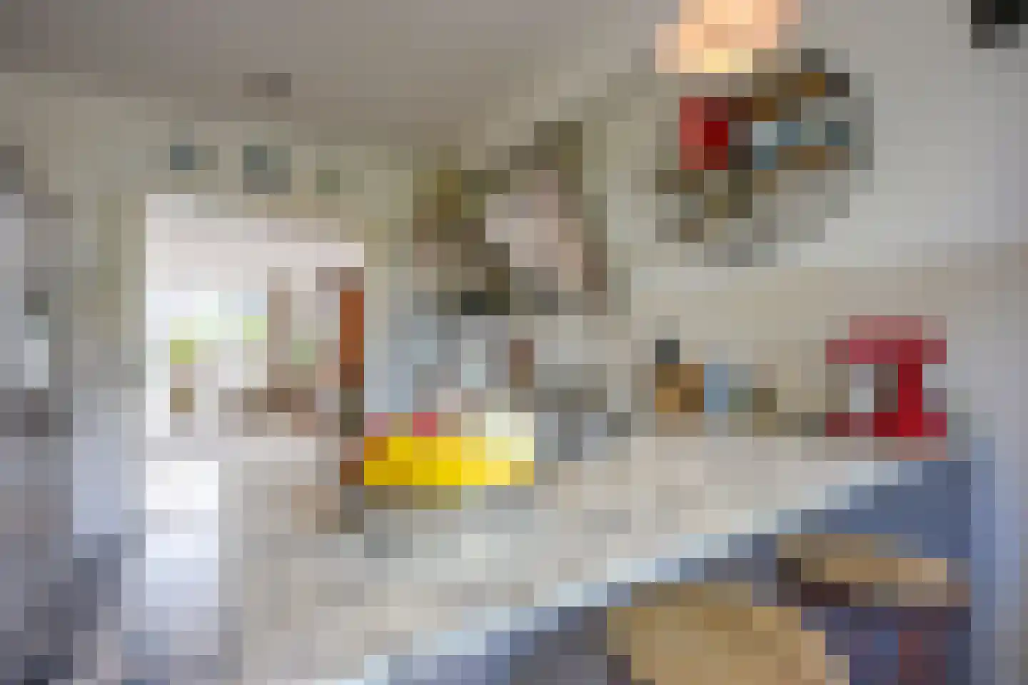 Blauwkapelseweg 67 Utrecht thumbnail 21