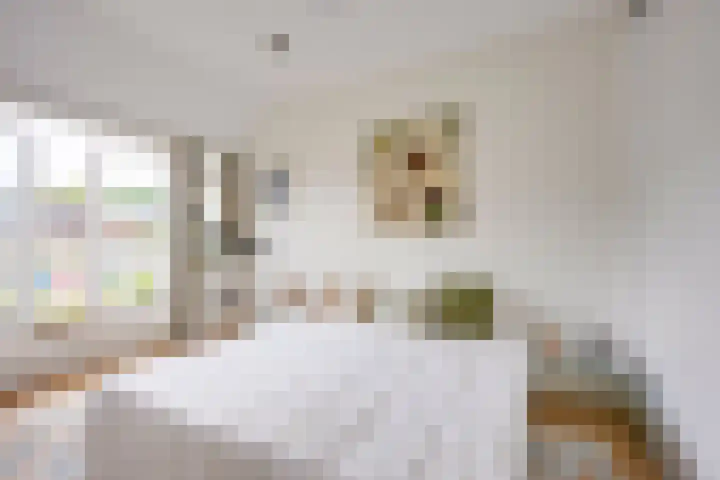 Blauwkapelseweg 67 Utrecht thumbnail 29